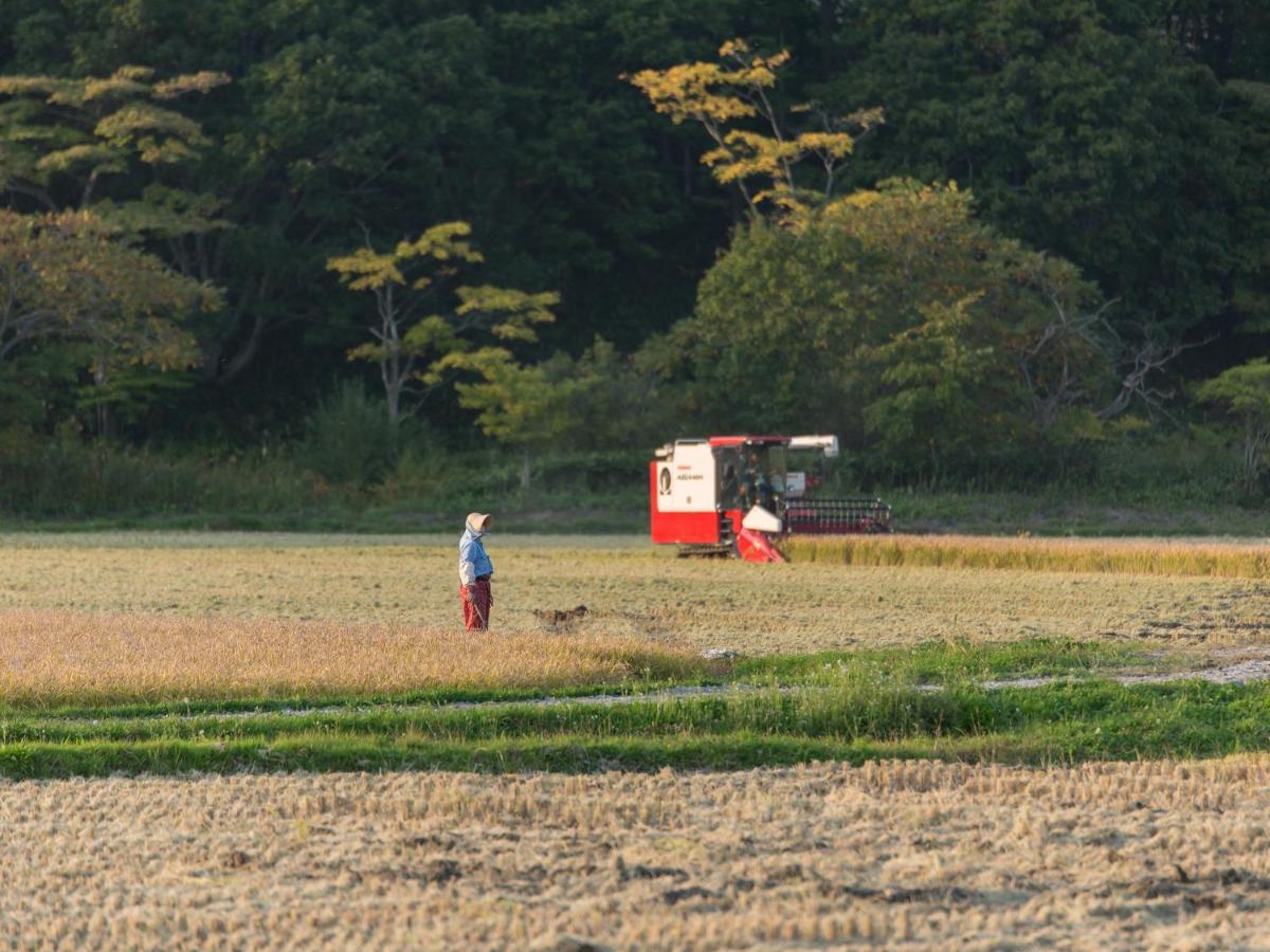 古民家の宿 Solii Ishikari 外观 照片
